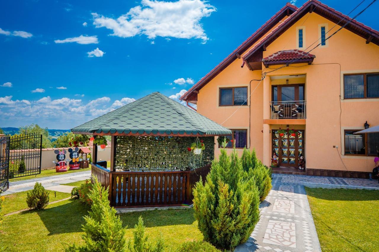 Pensiunea Adrian Novaci-Străini Buitenkant foto